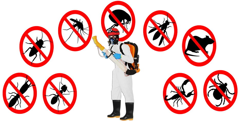 Controle de Praga em Jundiaí